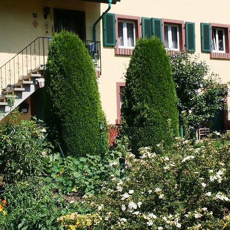 Dani'S Ferienwohnung Freiamt Exterior foto