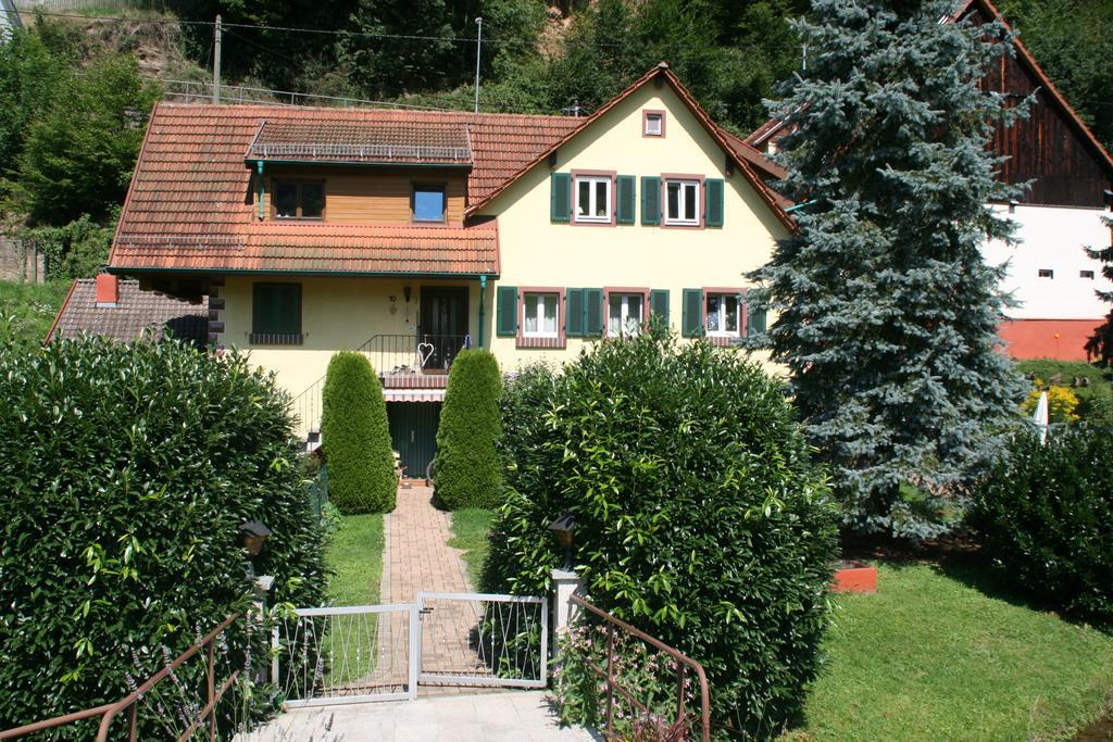 Dani'S Ferienwohnung Freiamt Exterior foto