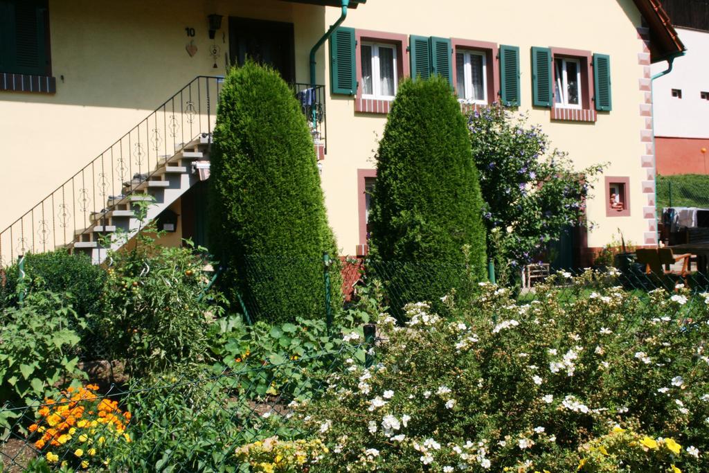 Dani'S Ferienwohnung Freiamt Exterior foto